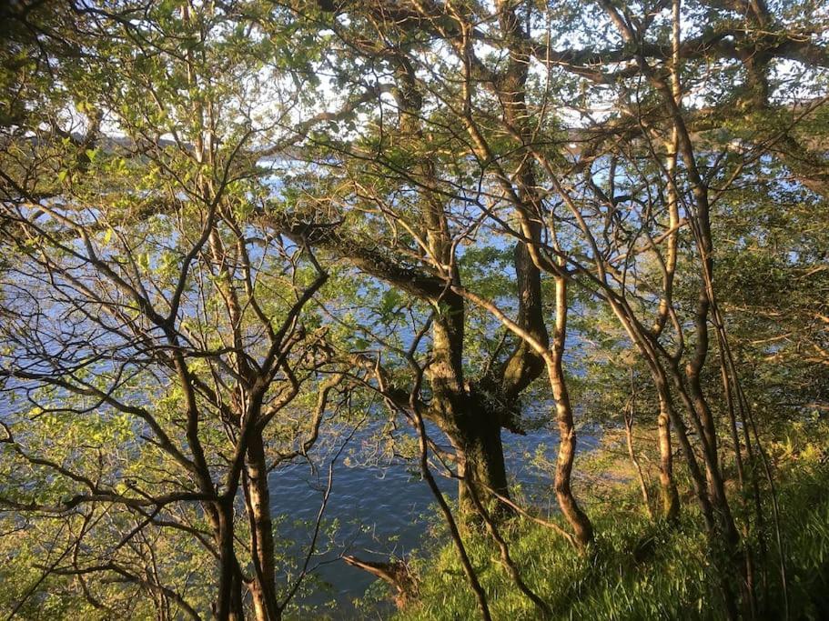 Millbay Cottage: Wonderful River Views Cosheston Exterior foto